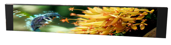 P1.538 Tanda Tampilan Jendela Led High Definition 3840HZ High Referesh Rate